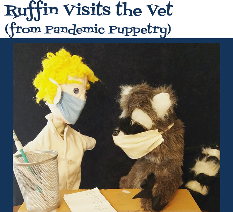 Pandemic Puppetry Photo